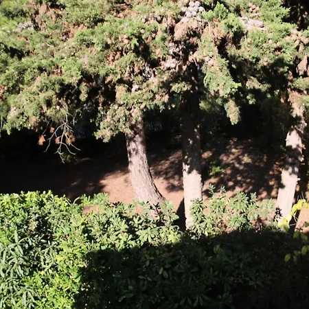 Residence Les Agathines - 2 Pieces Pour 4 Personnes 274 Διαμέρισμα